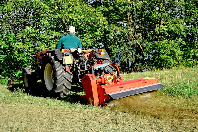 The Benefits Of Bush Hogging For Overgrown Properties