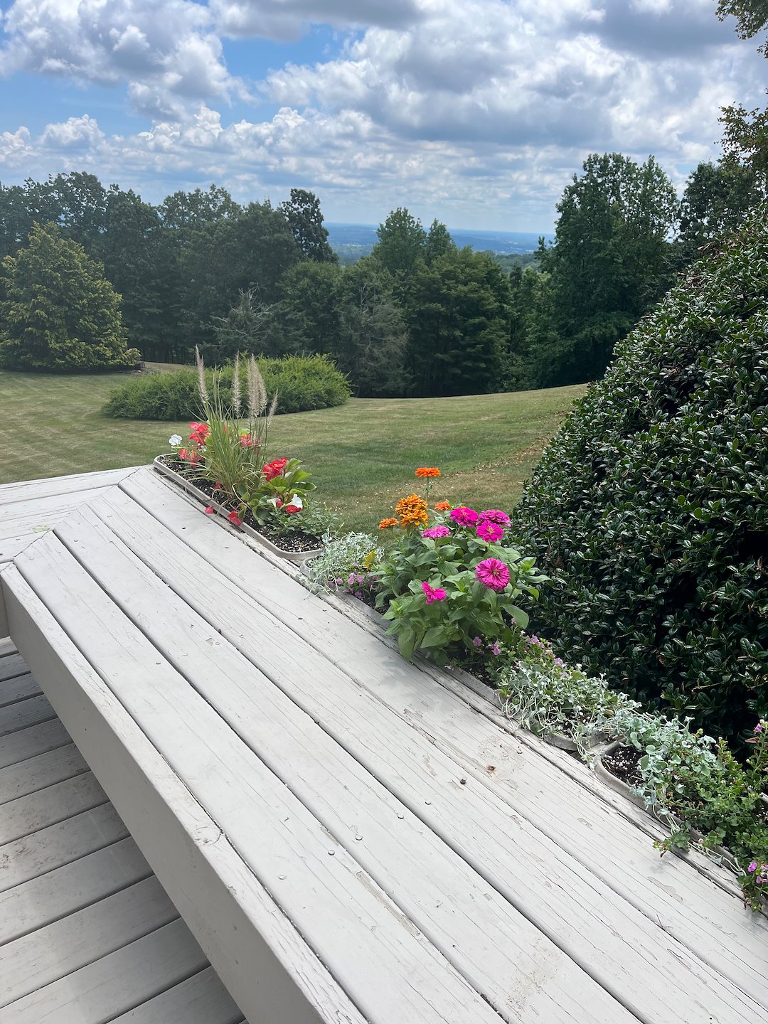 Beautiful Landscaping Project Completed in Greenville, SC