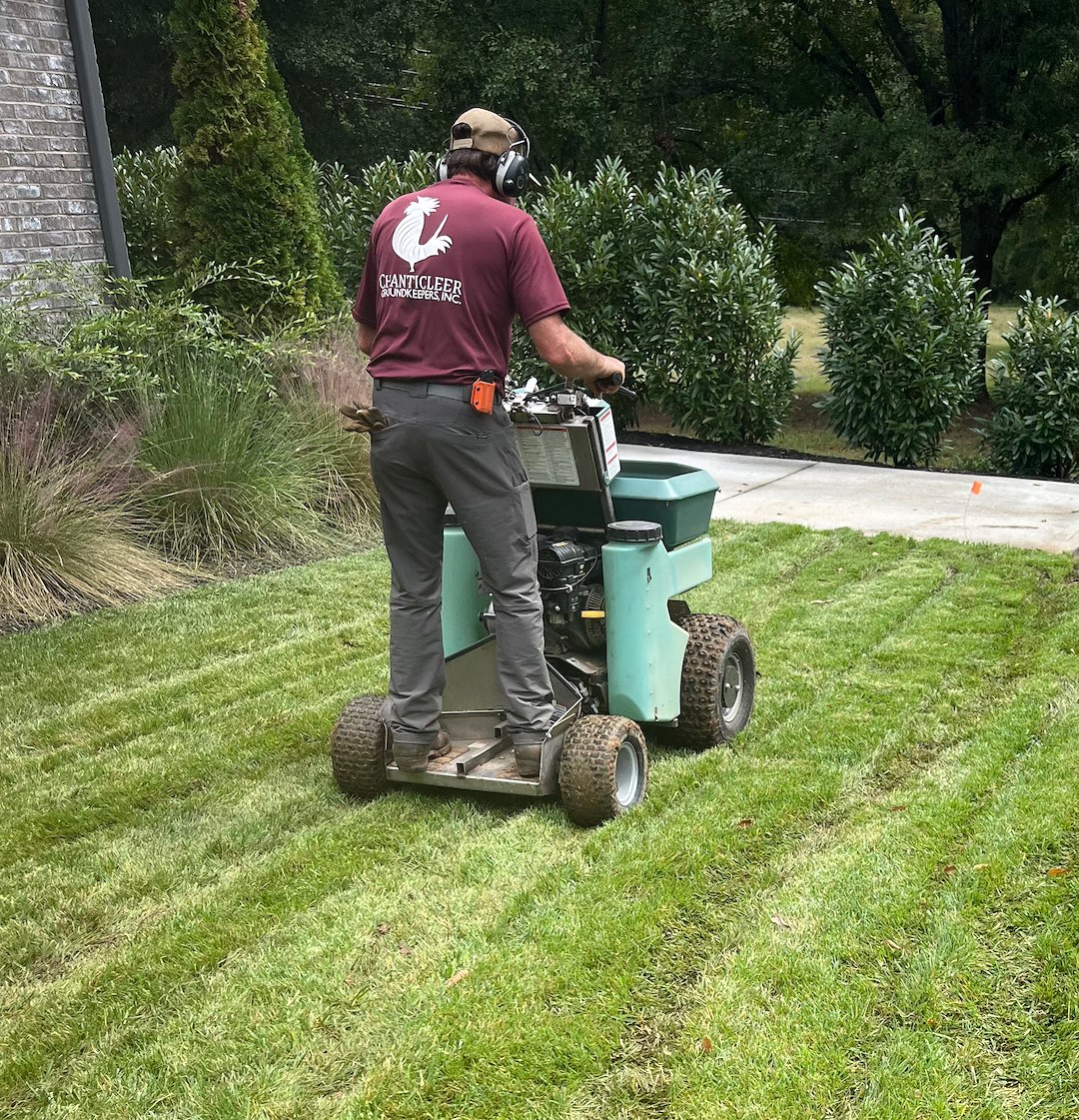Excellent core aeration and over-seeding job in Greenville, SC