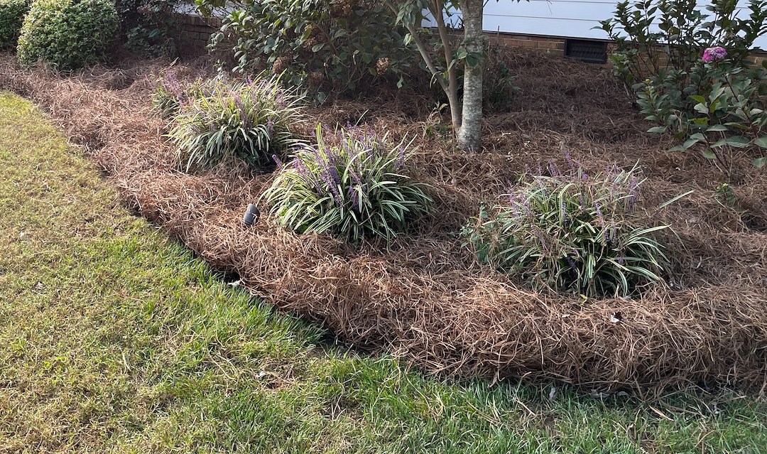 Prestine Pine Needle Installation in Taylors, SC