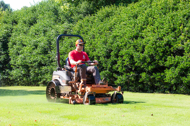 Lawn Maintenance